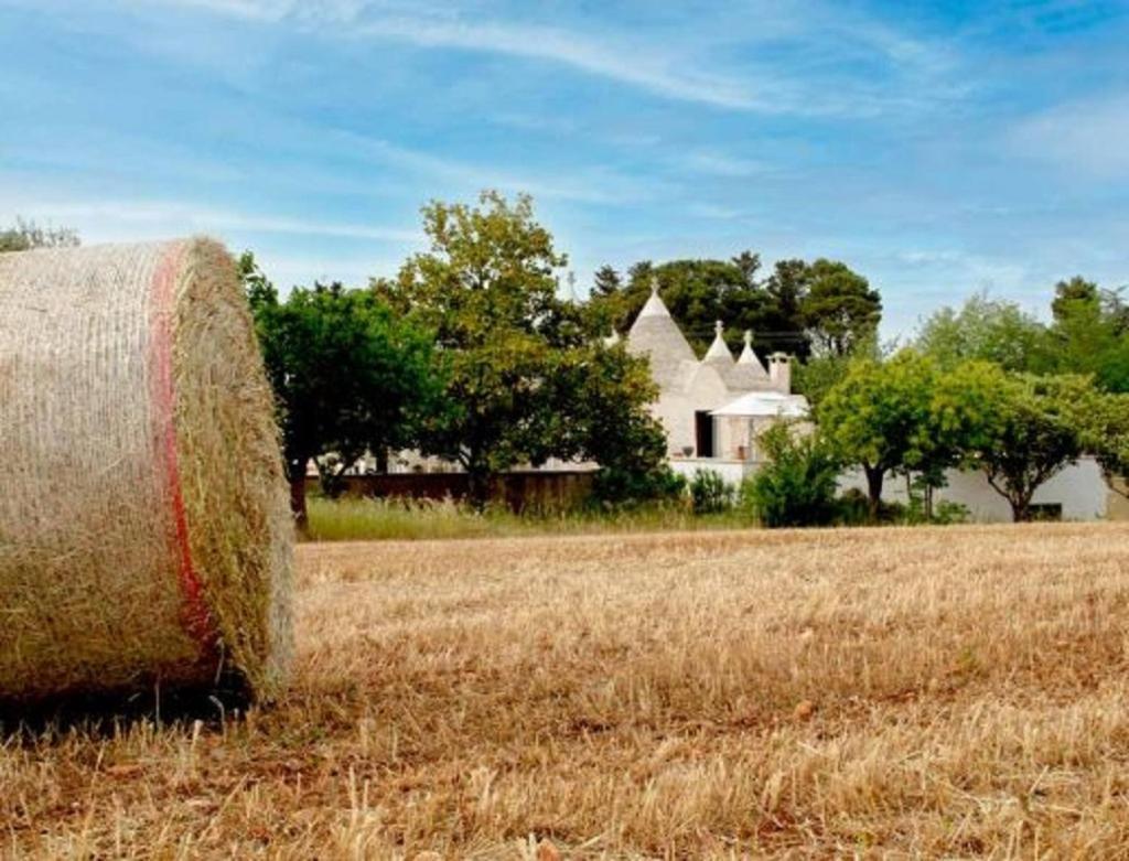 Trulli Delle Rose Villa Martina Franca Bagian luar foto
